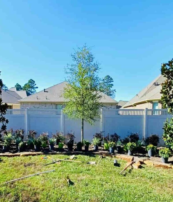 Tree Services
